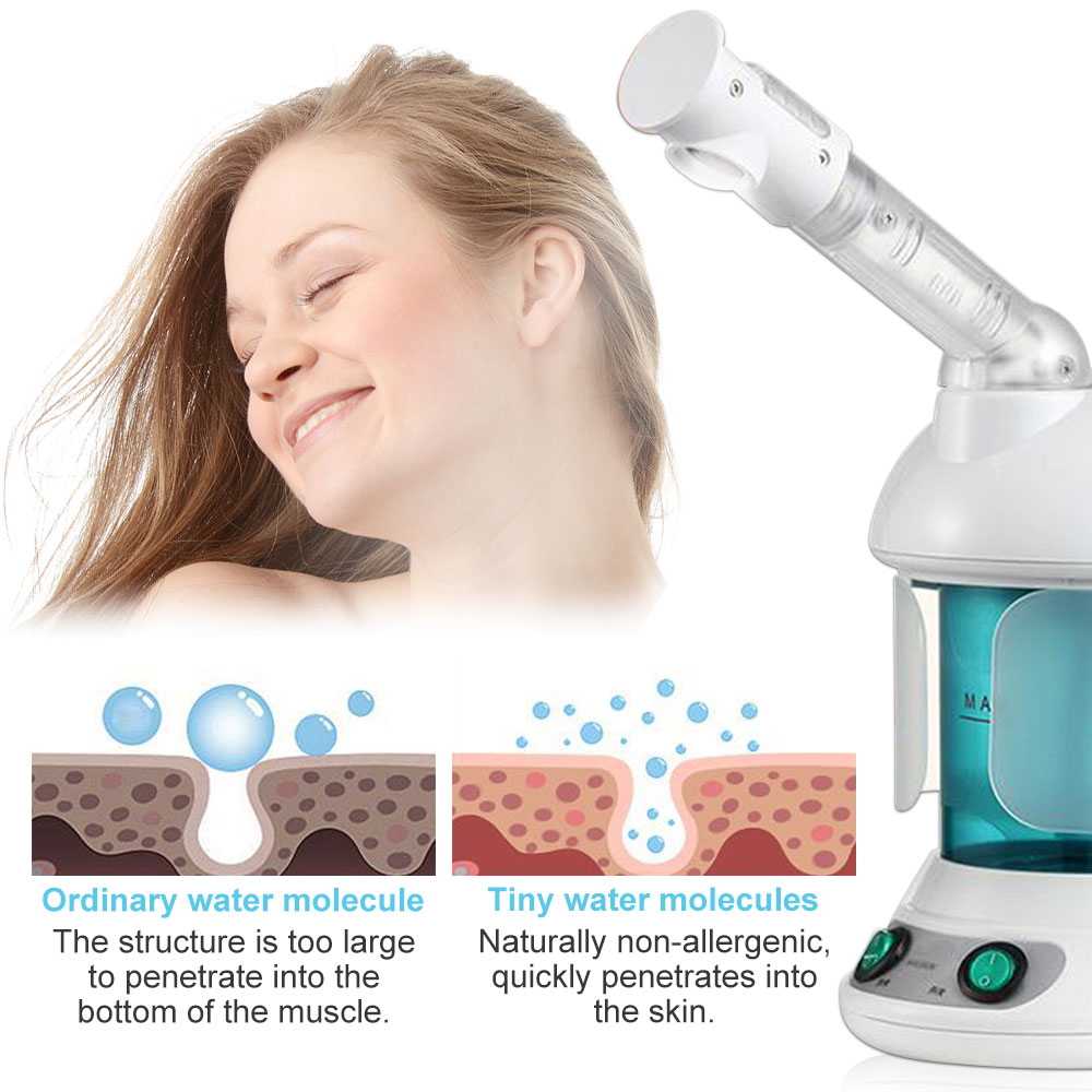 Facial Steamer 3