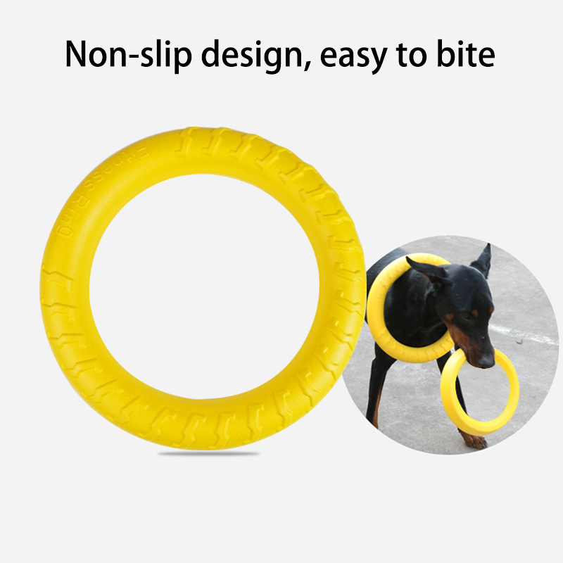 Disque de récupération pour chien