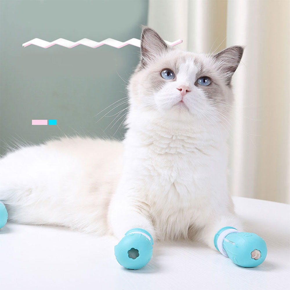 Cat Claw Protector Image 2