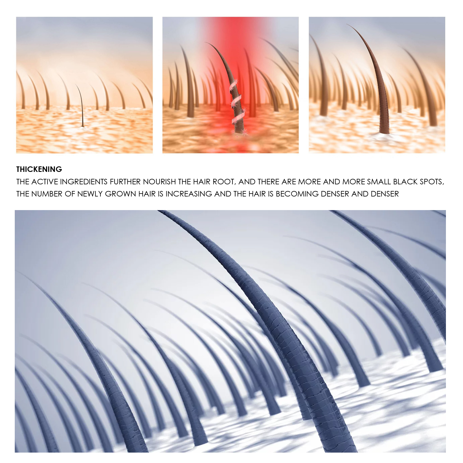 Hair Regrowth Essential Oil