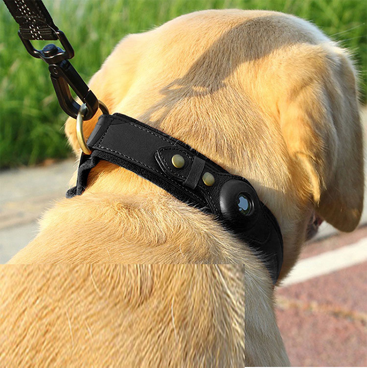 Leather Cat Collar