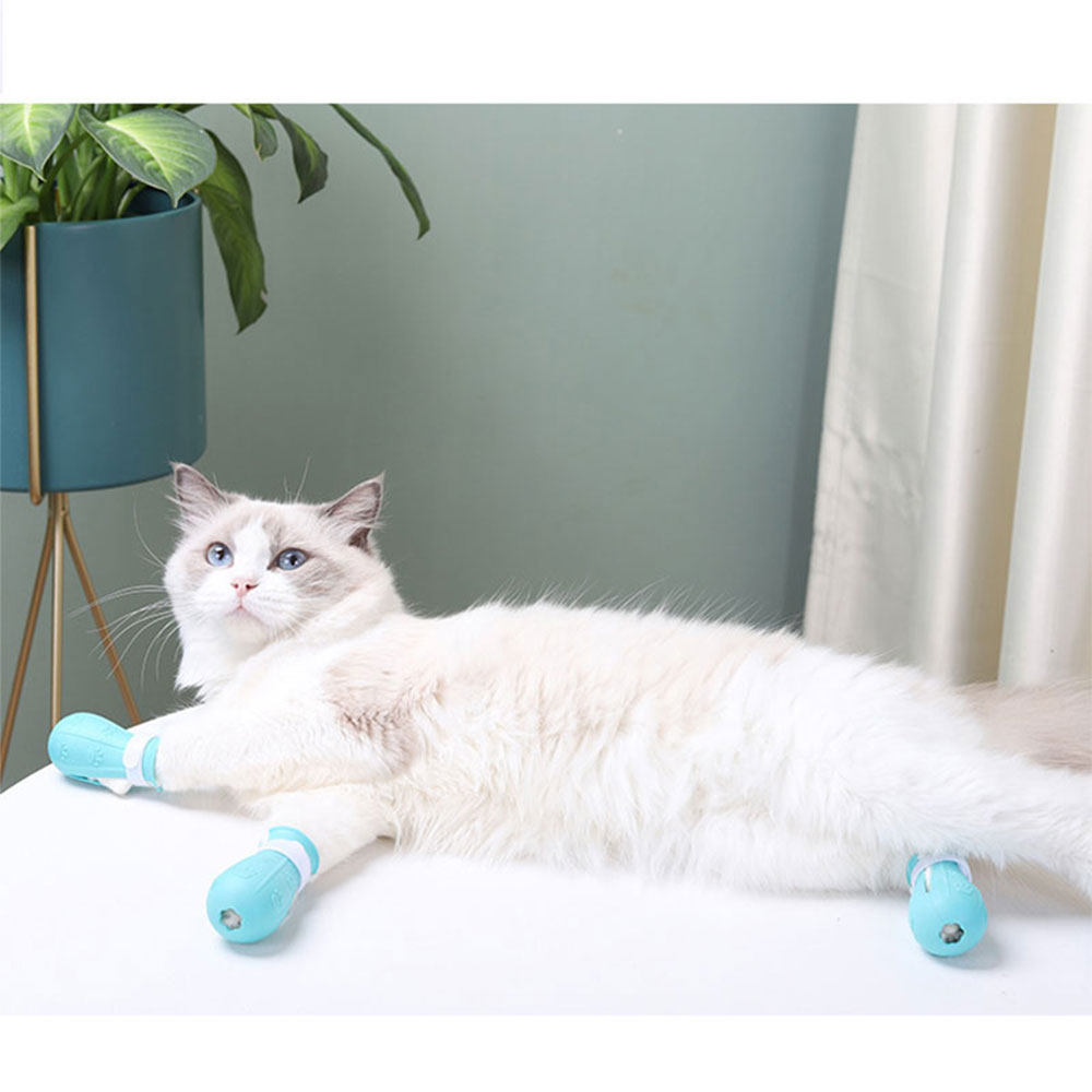 Cat Claw Protector Image 3