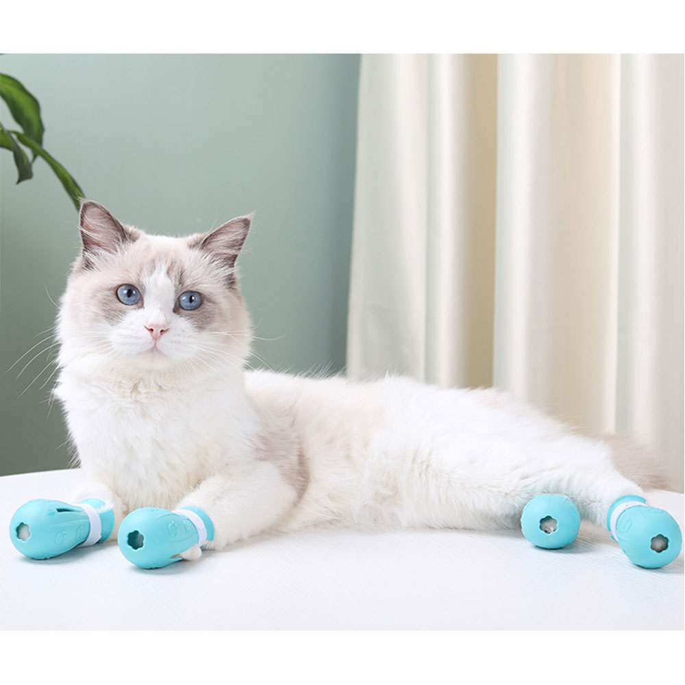 Cat Claw Protector Image 7