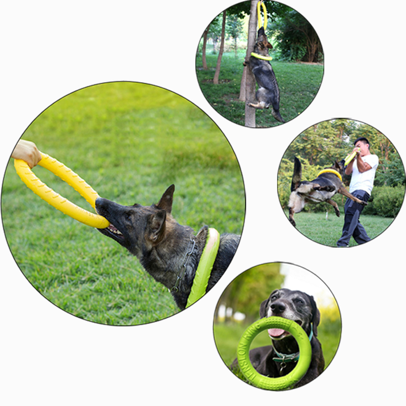Jouet flottant pour chien