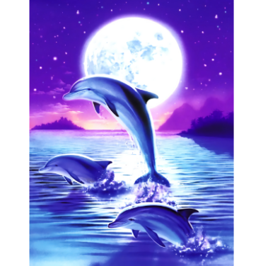 Dolphin Jumping Diamond Painting