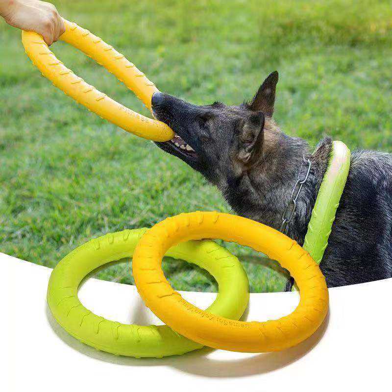 Jouet interactif pour chien vert