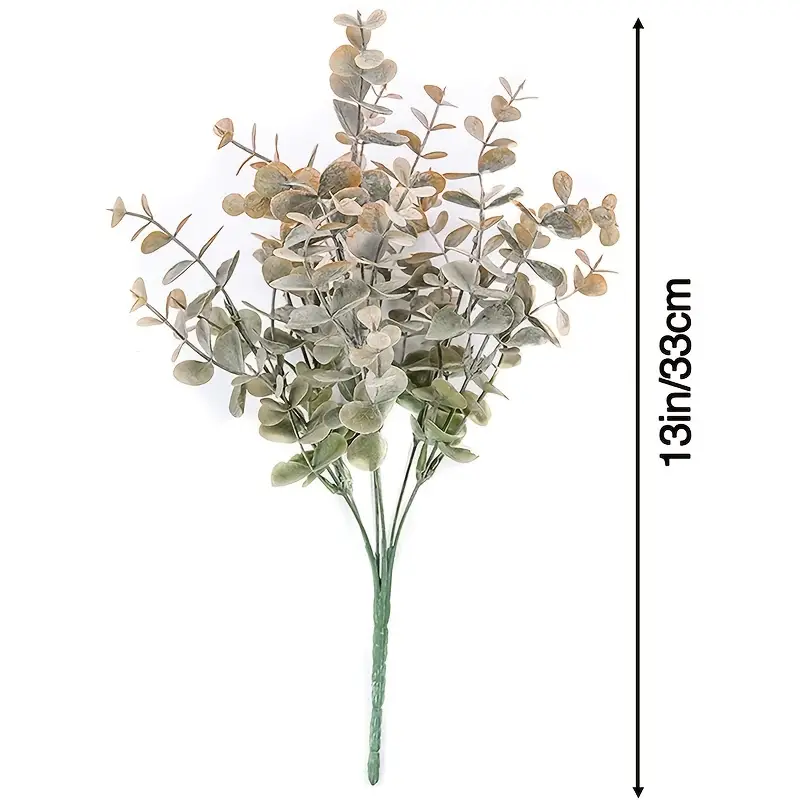 Eucalyptus Plant for Home Decor
