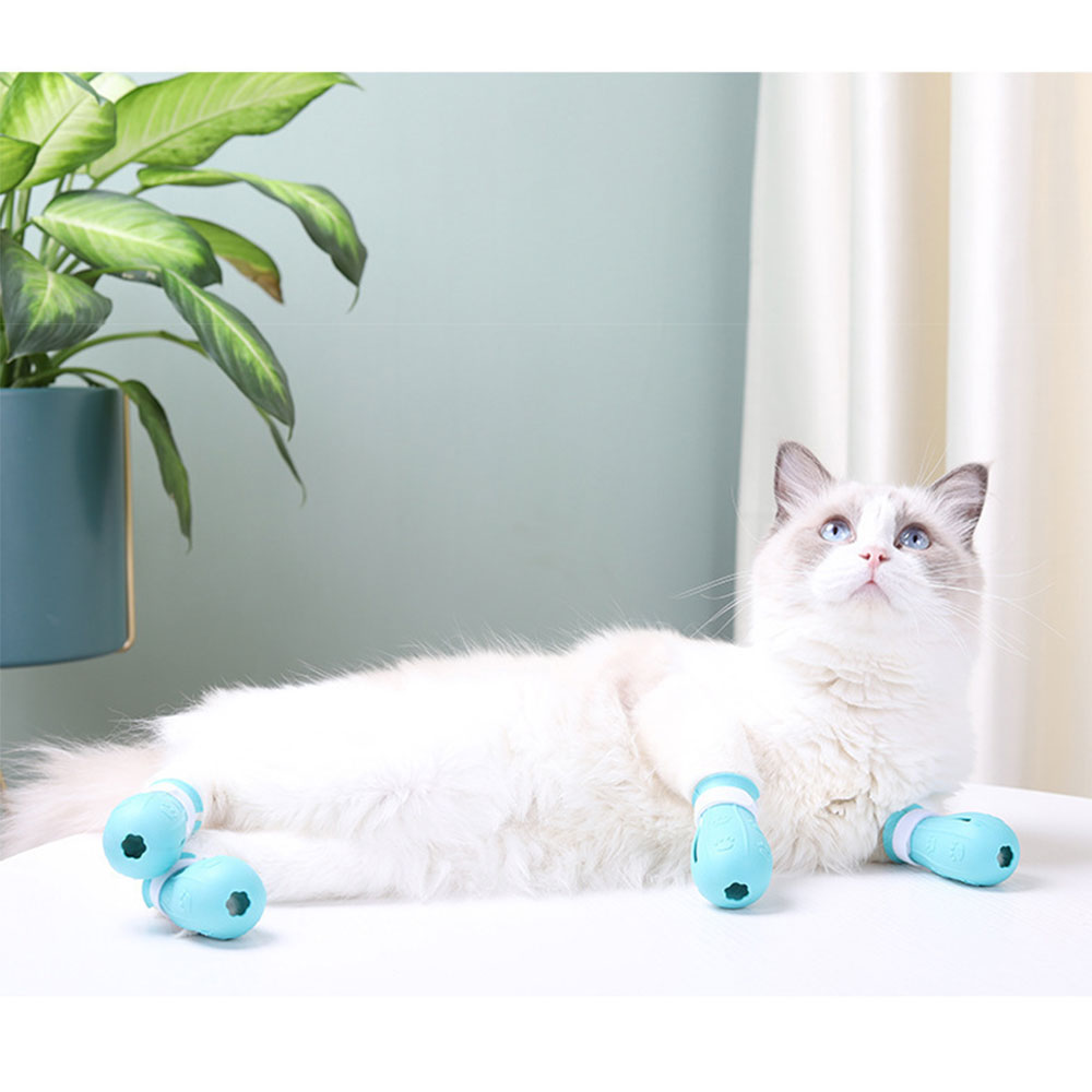 Cat Claw Protector Image 15