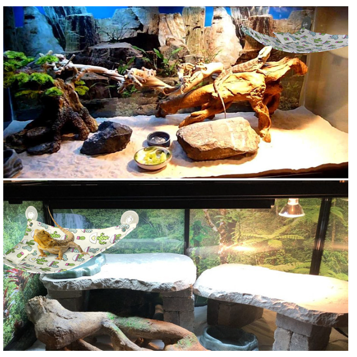 Gecko Hammock with Pillow