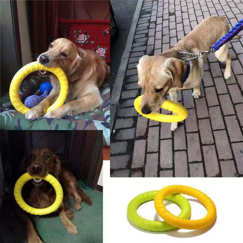 Jouet pour chien durable