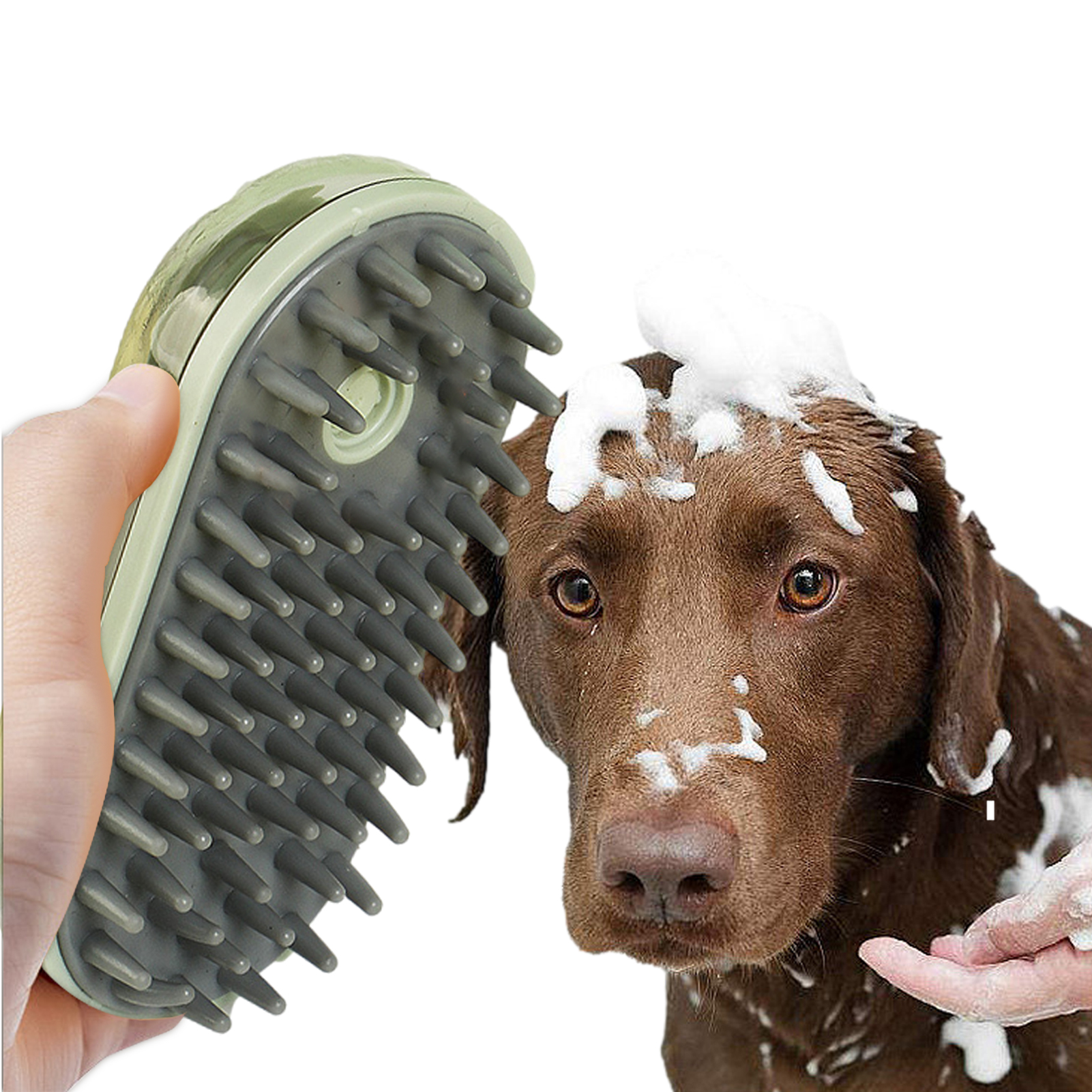 Dog Bath Brush - Green