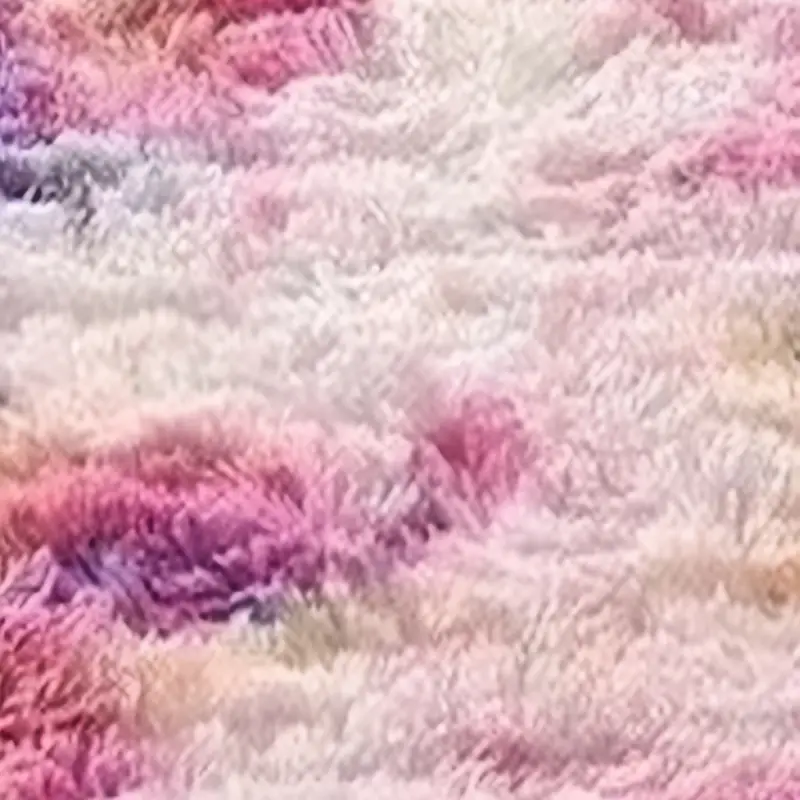 Colorful Shaggy Rug