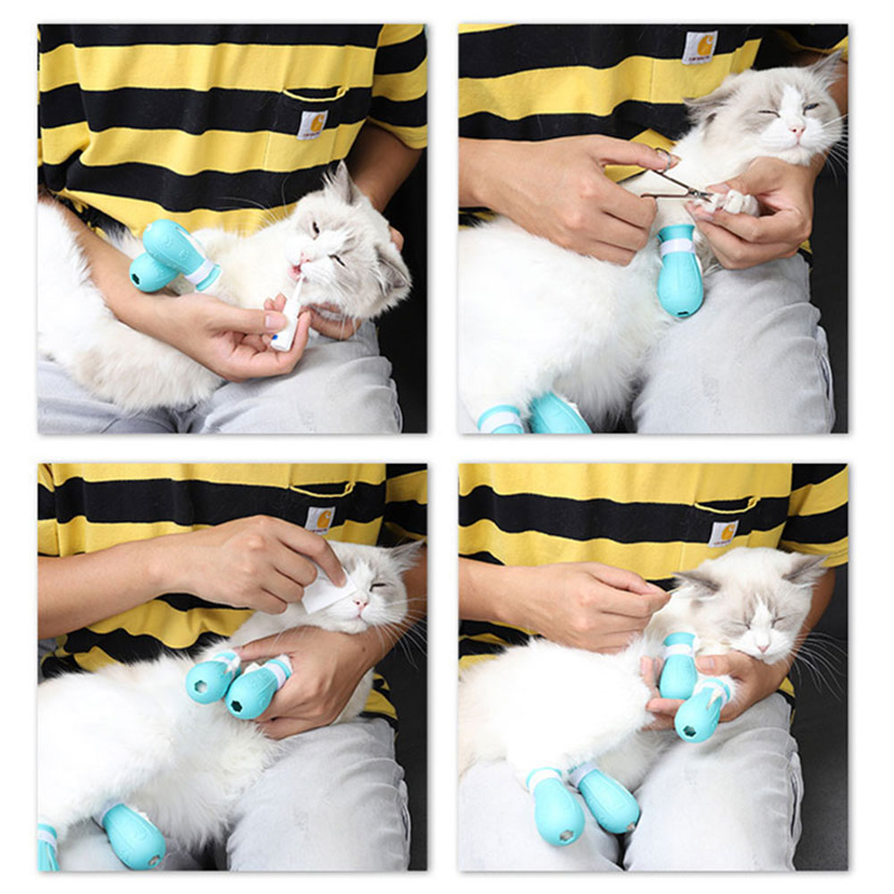 Cat Claw Protector Image 22
