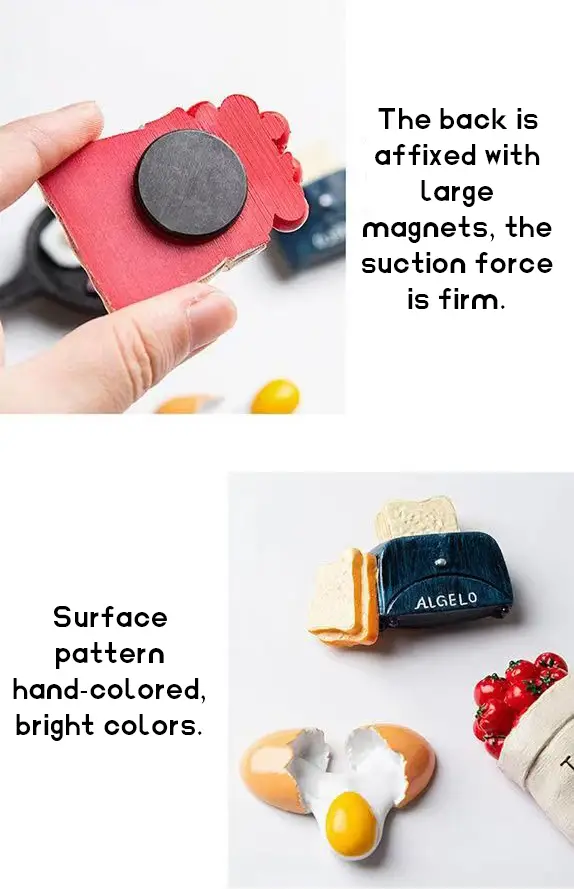 Resin Fridge Magnet 5
