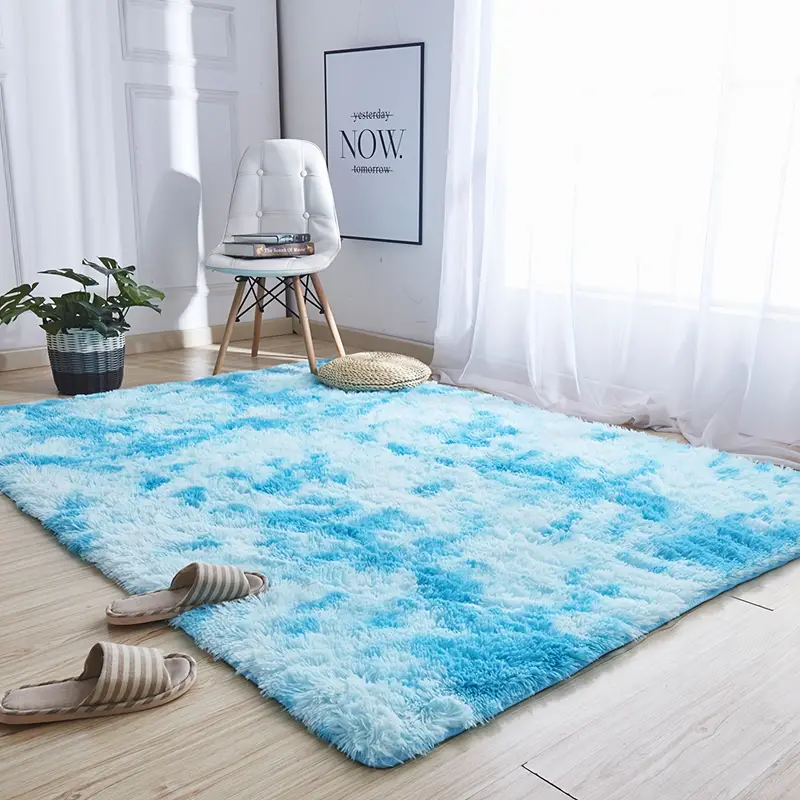 Silk Wool Carpet in Living Room