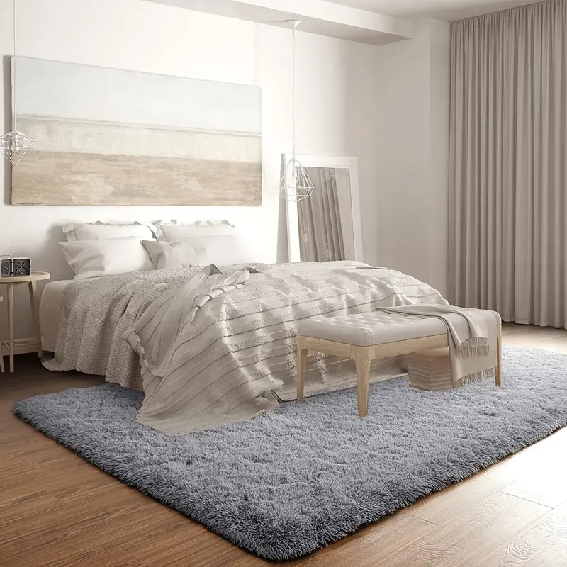 Modern shaggy rug in living room