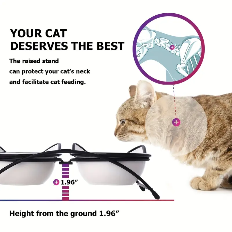 1 set white ears cat bowl 5 3 inch cat bowls elevated cat food water bowls raised cat bowls with stand ceramic pet dishes for cats details 5