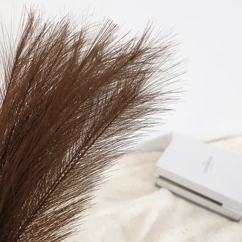 Elegant Pampas Grass Decoration