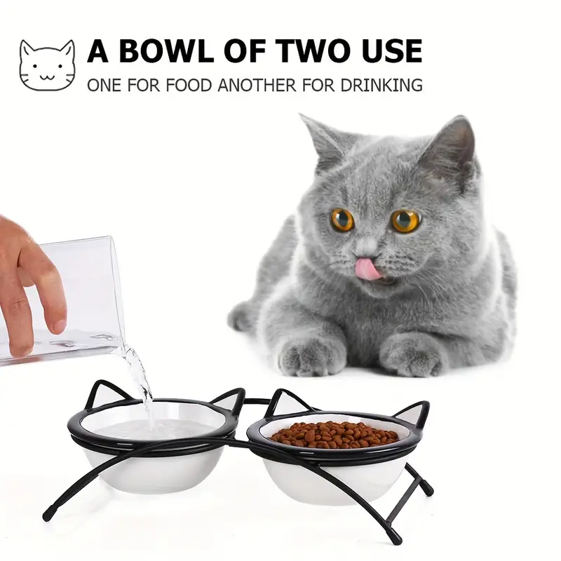 1 set white ears cat bowl 5 3 inch cat bowls elevated cat food water bowls raised cat bowls with stand ceramic pet dishes for cats details 6